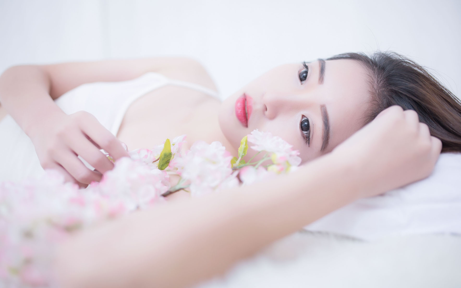 香港青年国际法律人才“带路行”活动启动